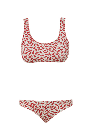 Top bikini fish 